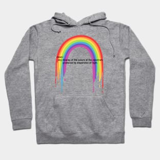 Rainbow Definition Hoodie